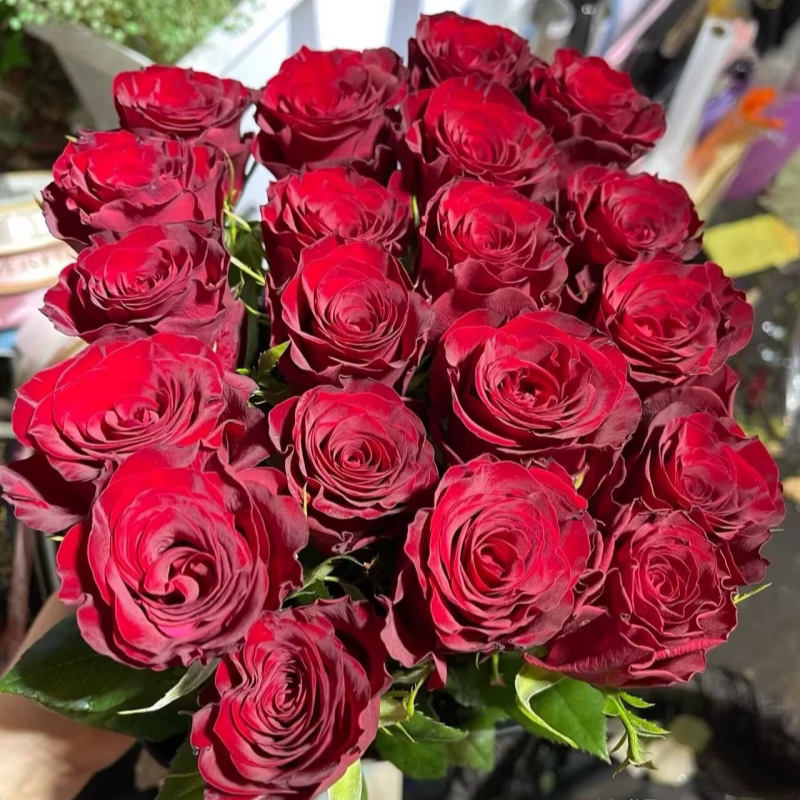北京同城速递高原红玫瑰花束鲜花