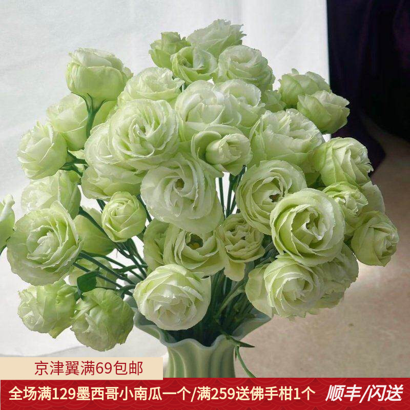 新鲜绿色龙胆鲜花洋桔梗一束10