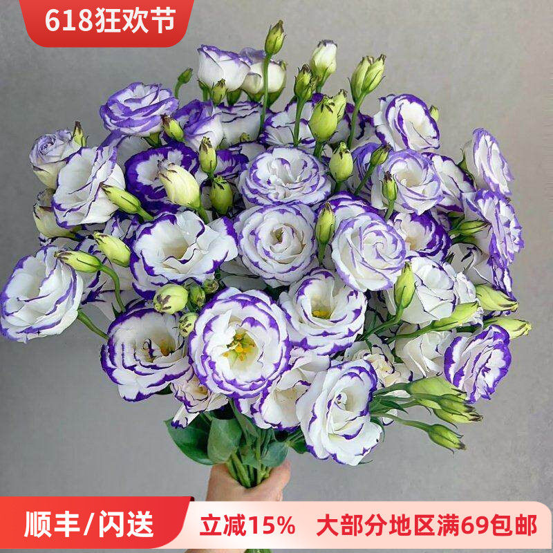 多色洋桔梗10枝龙胆鲜切花插花