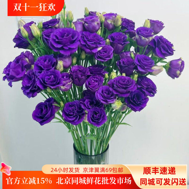 新鲜紫色洋桔梗 龙胆鲜切花 婚礼酒店插花 办公室日常瓶插 顺丰