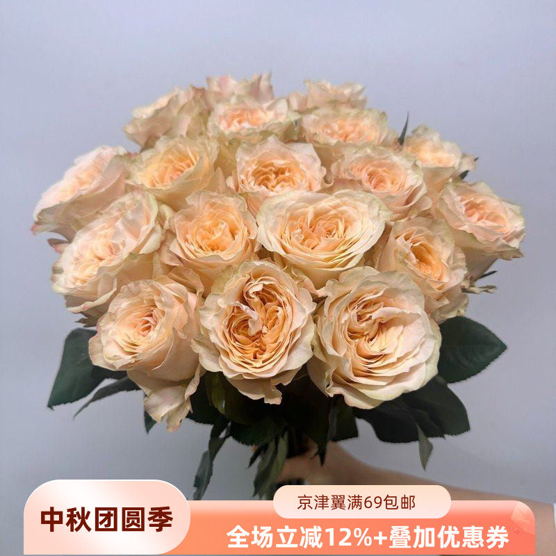 奶油酥玫瑰鲜切花19-20朵
