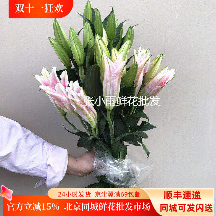 东北基地直供香水百合大朵顺丰
