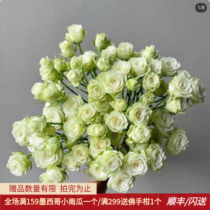 繁星婚礼花材女神节淡淡绿色闪送