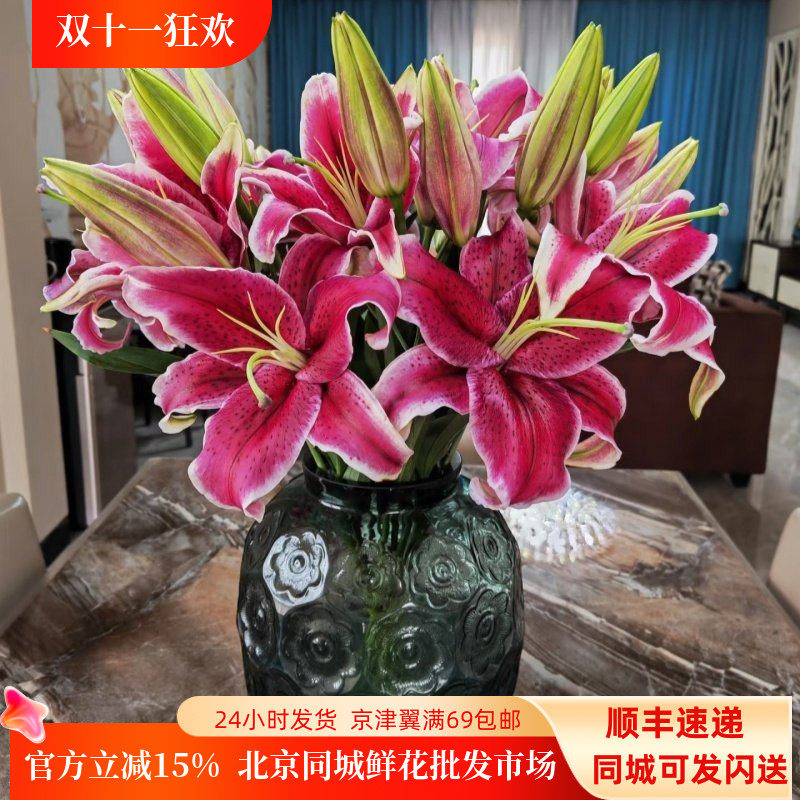 黑美人香水百合鲜花 大花朵10枝 办公室水养瓶插花节日礼物年宵花