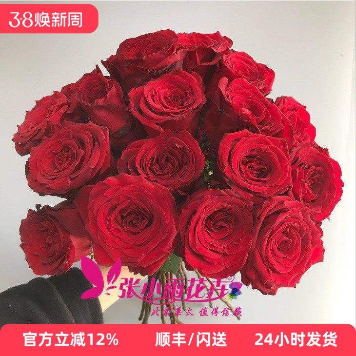 红佛玫瑰鲜花正红色情人节鲜花北京同城速递花期长花形好20枝装