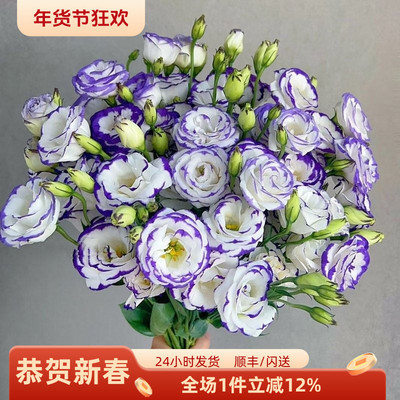 多色洋桔梗10枝龙胆鲜切花插花