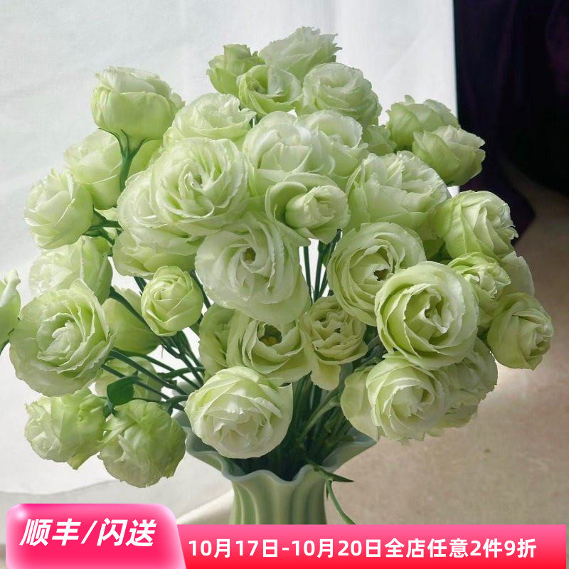 新鲜绿色龙胆鲜花洋桔梗一束10