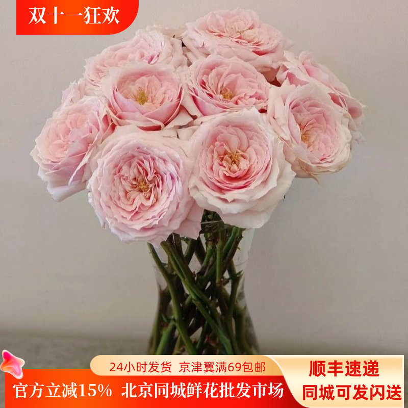 奥斯汀玫瑰鲜切花同城速递