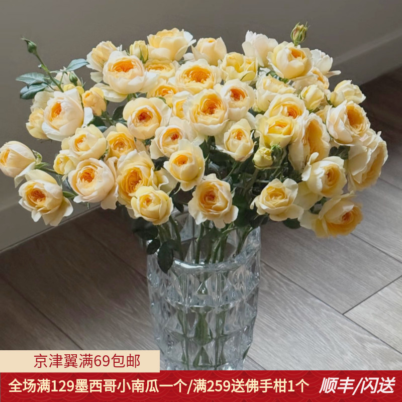 蜜柚果汁泡泡玫瑰10枝北京直批