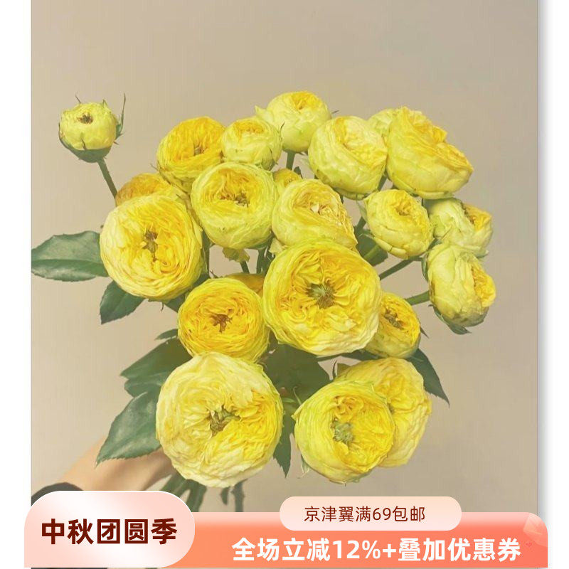 金色潮流多头玫瑰鲜花10枝