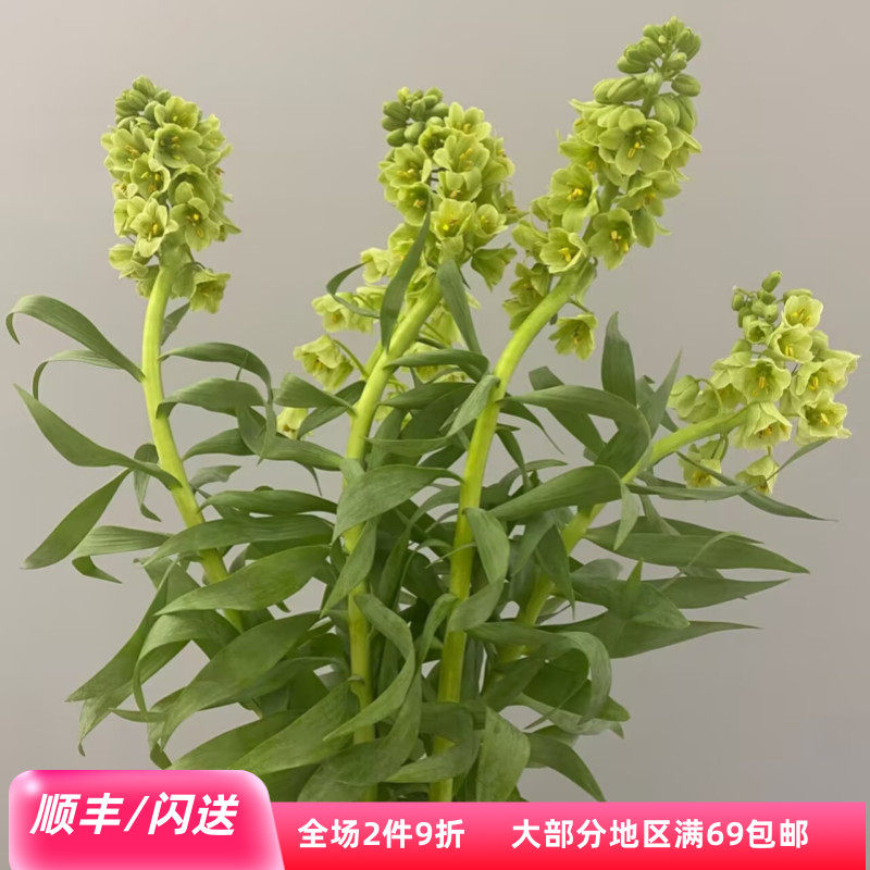 荷兰进口贝母百合花材婚礼礼盒