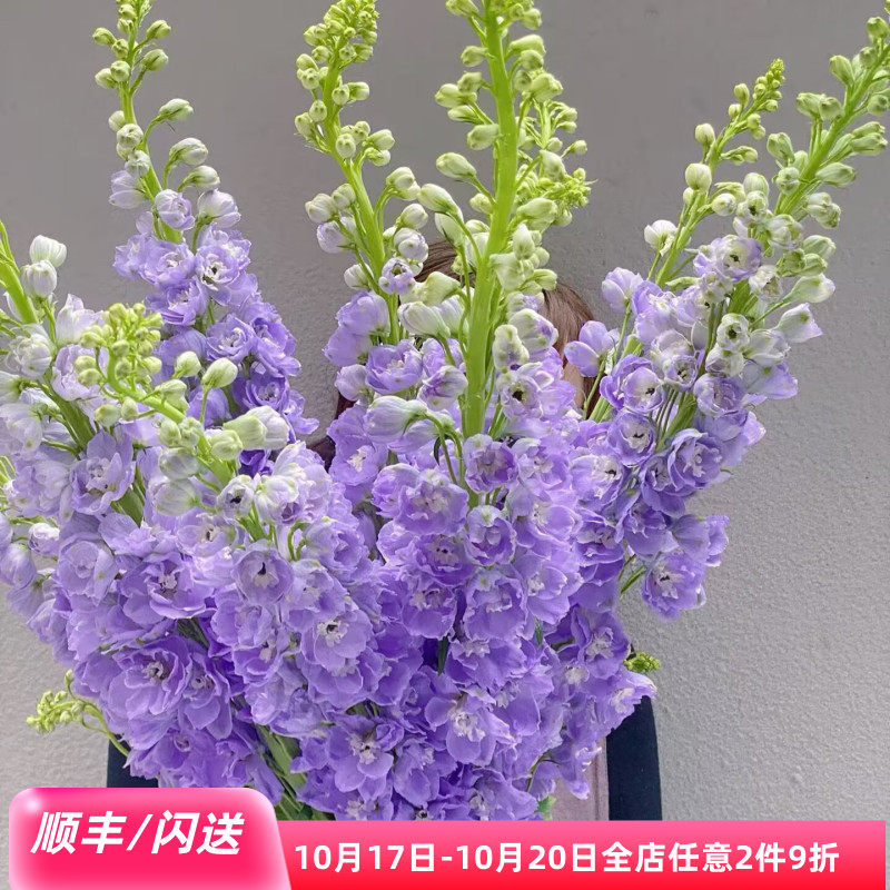 新鲜花卉浅蓝色美感婚礼鲜切花