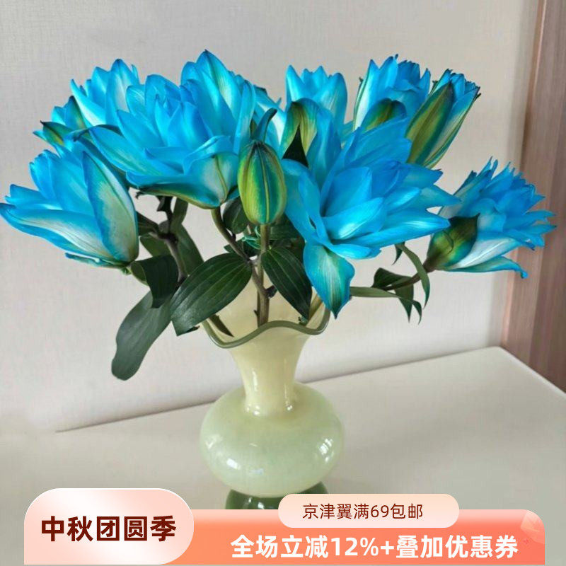 吸色重瓣百合10枝鲜切花期长