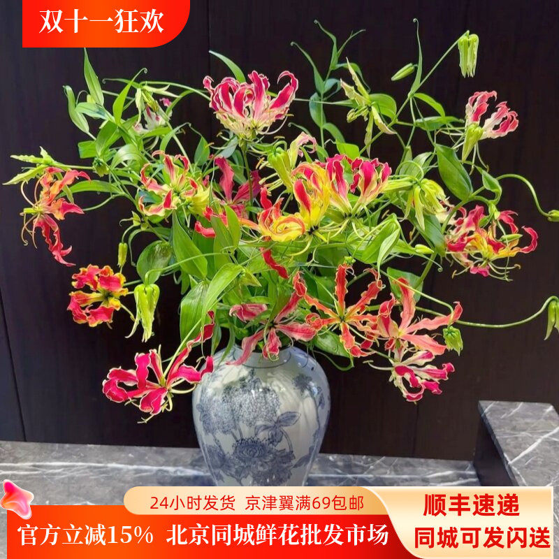 日本进口橘红嘉兰鲜切花婚礼配花