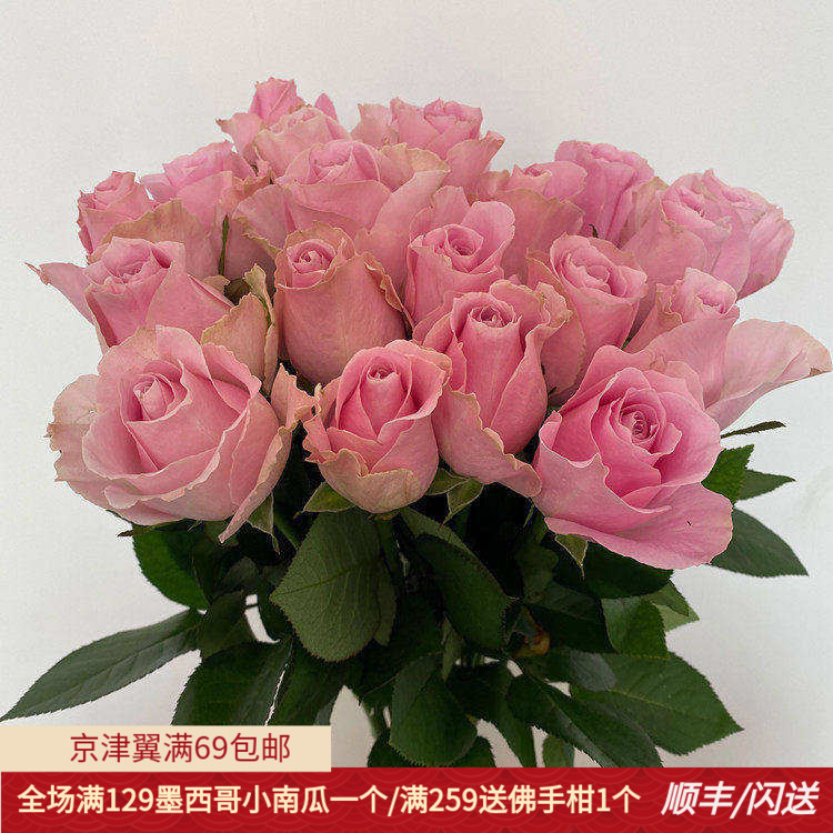 娇兰玫瑰鲜切花紫粉礼盒