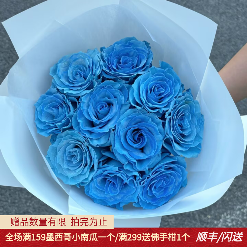 进口玫瑰10朵大朵鲜切花情人节花