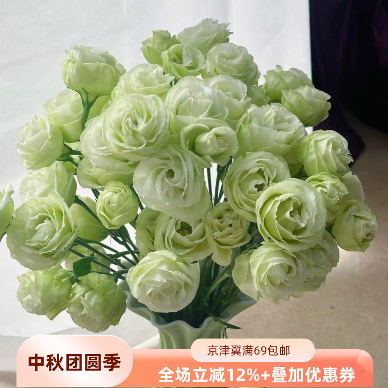 新鲜绿色龙胆鲜花洋桔梗一束10