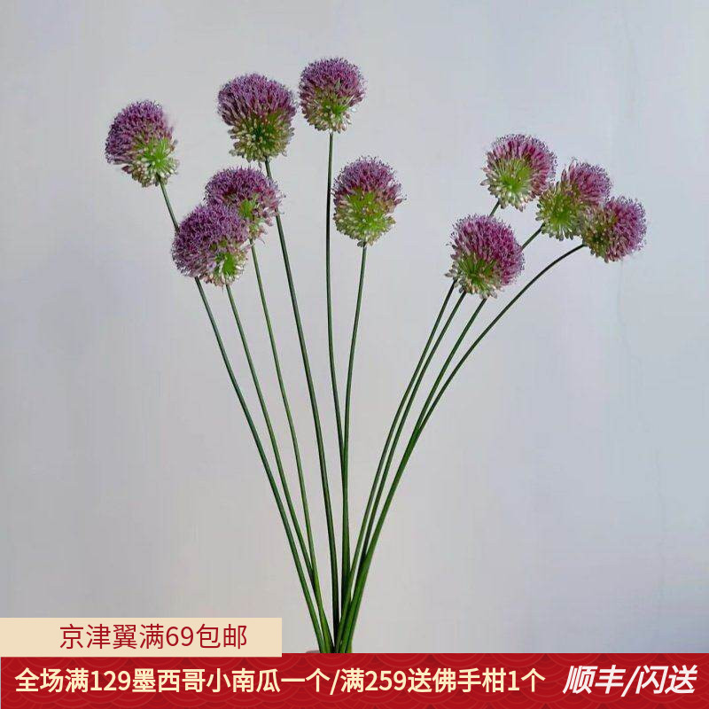 小葱花一扎10枝北京花卉市场
