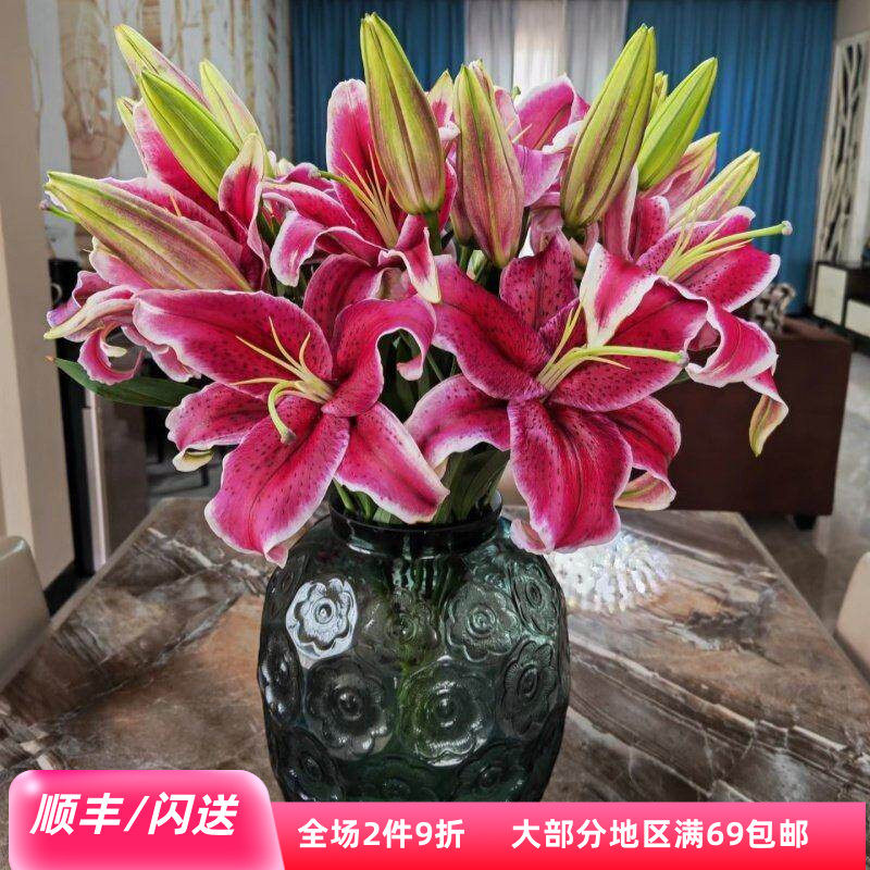 黑美人香水百合鲜花 大花朵10枝 办公室水养瓶插花节日礼物年宵花