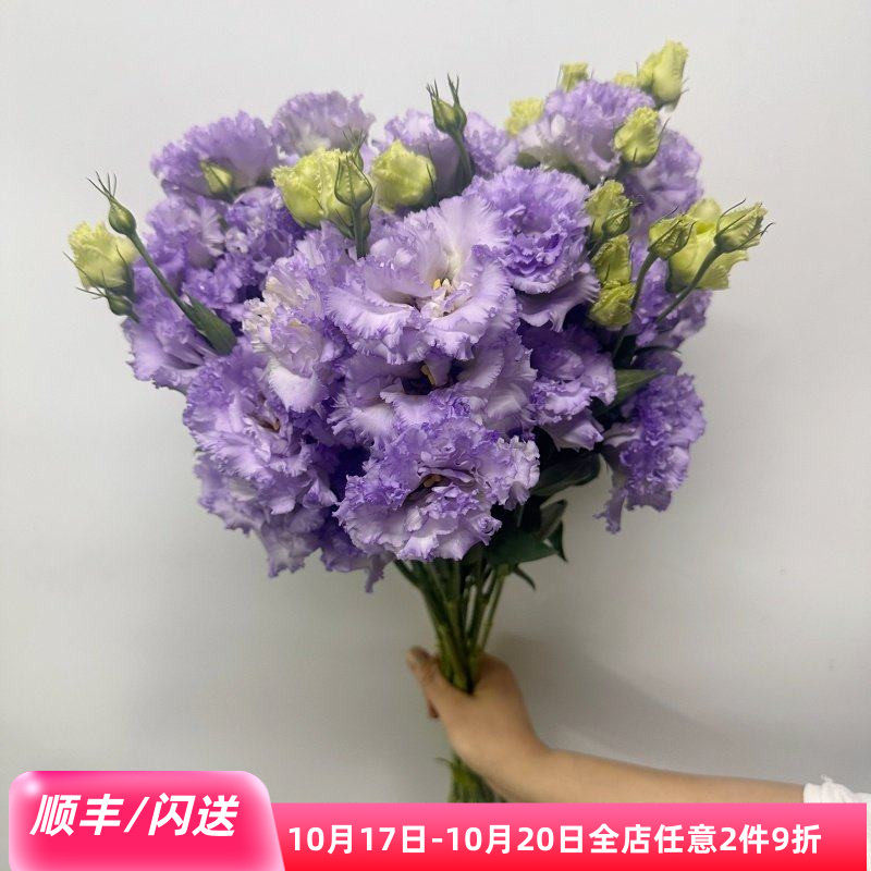 紫色波浪洋桔梗龙胆花多色选择