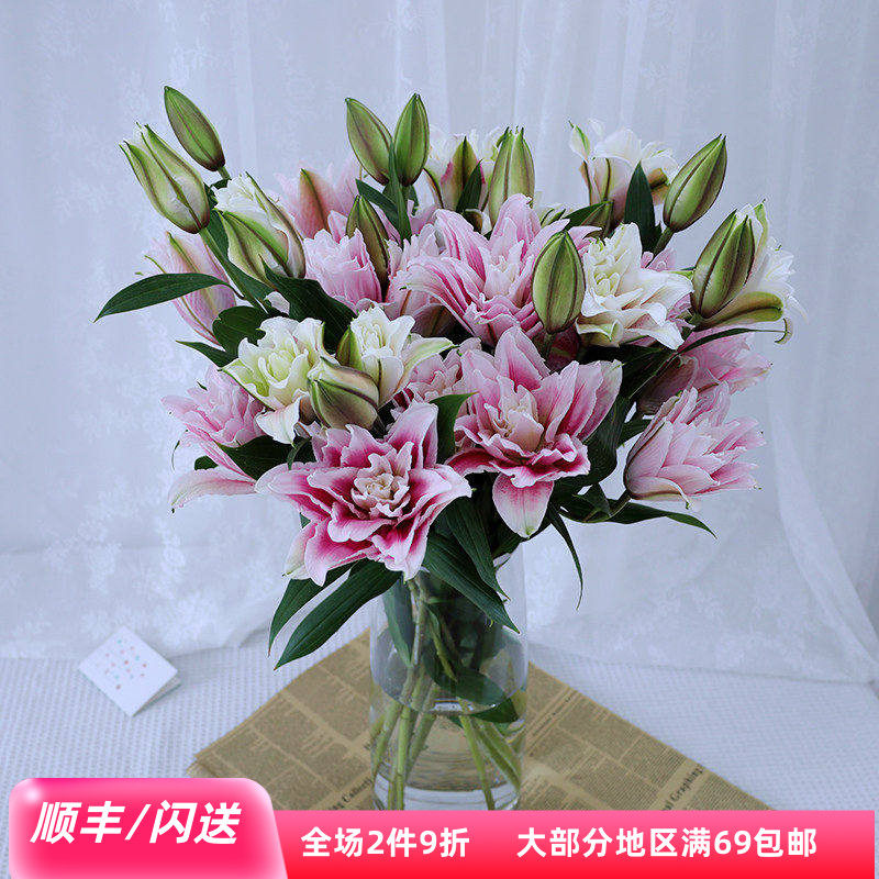重瓣百合花白色粉色红色北京直批