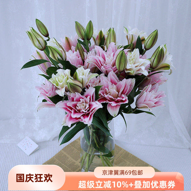 重瓣百合花白色粉色红色北京直批