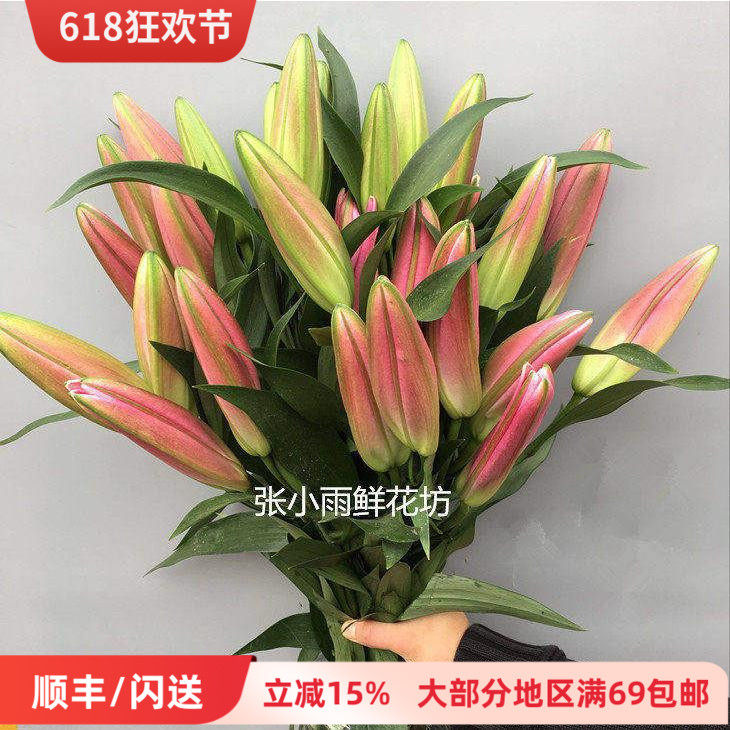 春节年宵花罗宾娜红百合香水百合含苞待放大花头一扎10枝北京速递