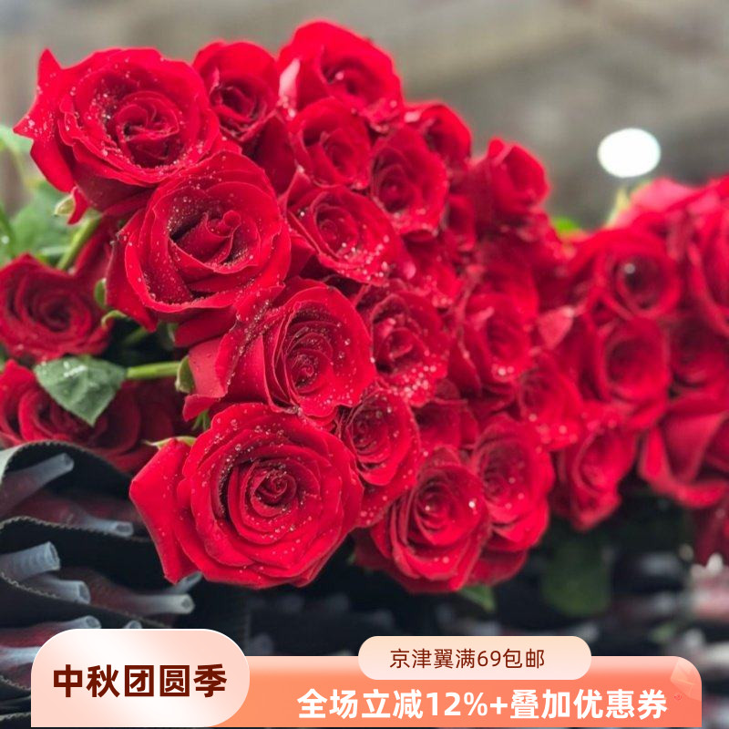 卡罗拉红玫瑰鲜切花大红色速递