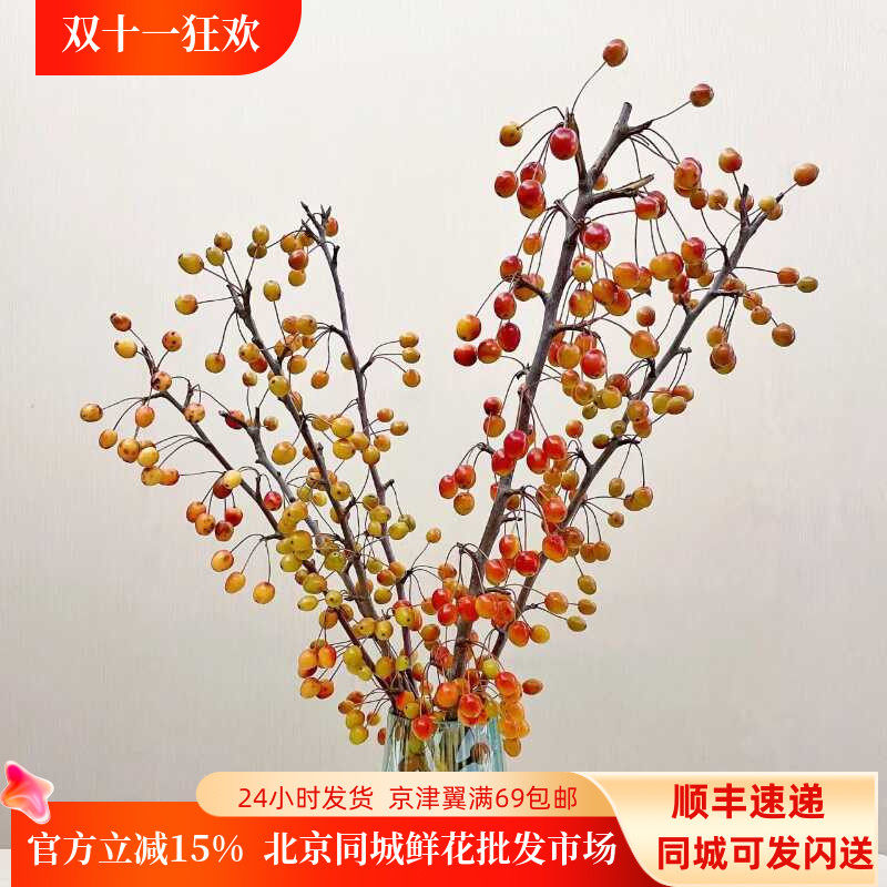 秋色海棠果鲜切枝花束点缀