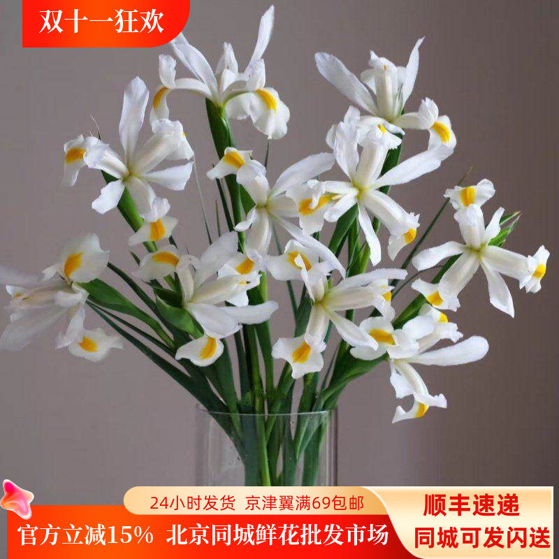 进口白色鸢尾花家庭DIY插花