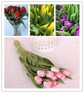 重瓣郁金香水养家用插花 A级多颜色 进口直批 荷兰郁金香鲜花