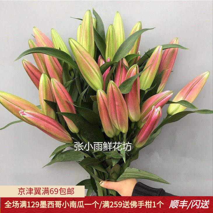 香水百合红色大朵10枝多头鲜花