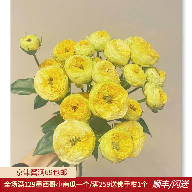 金色潮流多头玫瑰鲜花10枝
