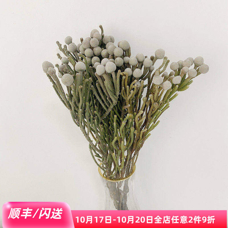10枝珊瑚果手捧花配花干花花期长