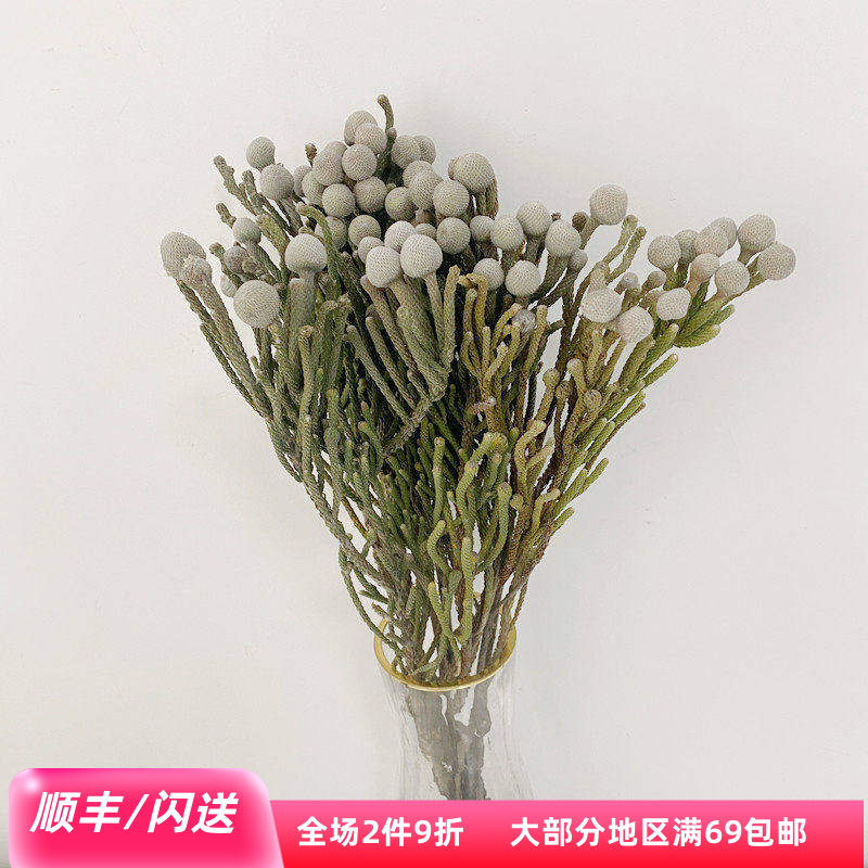 10枝珊瑚果手捧花配花干花花期长