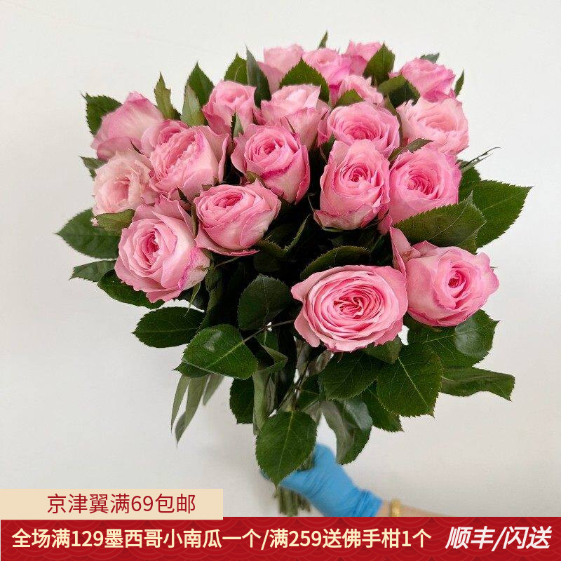 19朵梅拉玫瑰进口鲜花大朵淡香