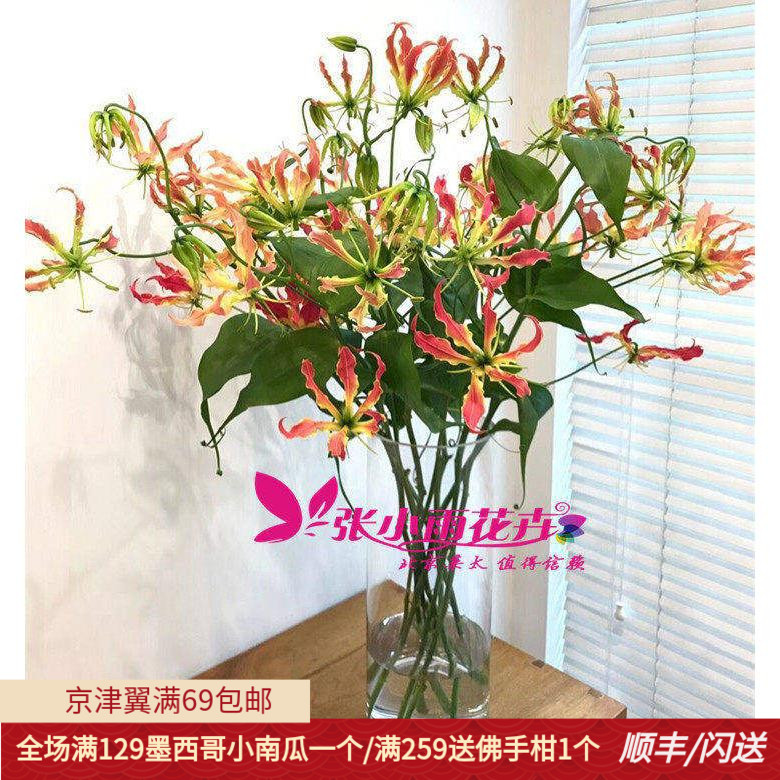 嘉兰花10枝鲜切花鲜花礼物