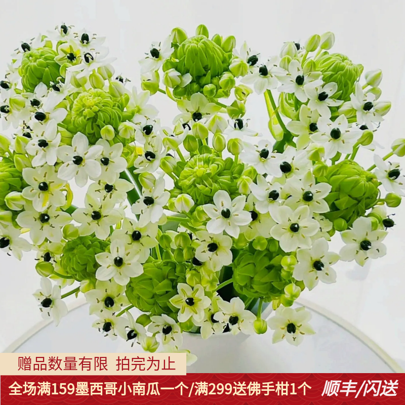 办公室天鹅绒高品质娇嫩鲜切花