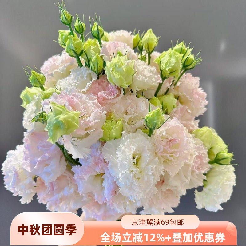 冰激凌洋桔梗卷边龙胆鲜花闪送