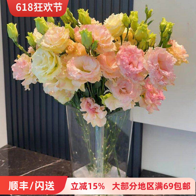 新鲜绿色龙胆洋桔梗鲜花10枝