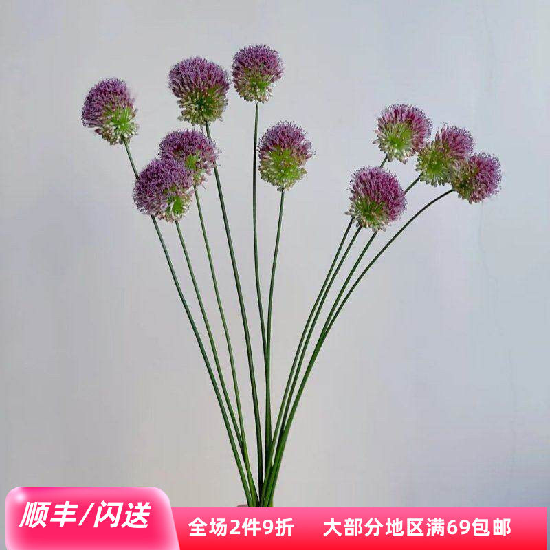 小葱花一扎10枝北京花卉市场