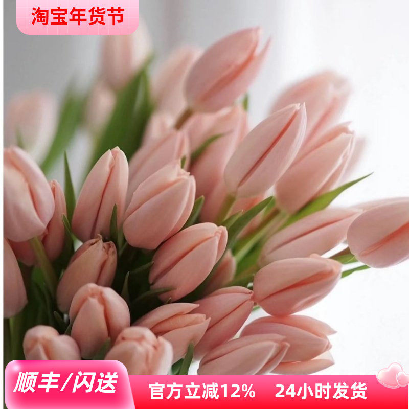 法郁水蜜桃郁金香 一扎10枝欧式轻奢日常瓶插 花束礼盒婚礼手捧花,鲜花速递/花卉仿真/绿植园艺,花材,淘宝优惠券,粉丝福利购,淘宝优惠卷