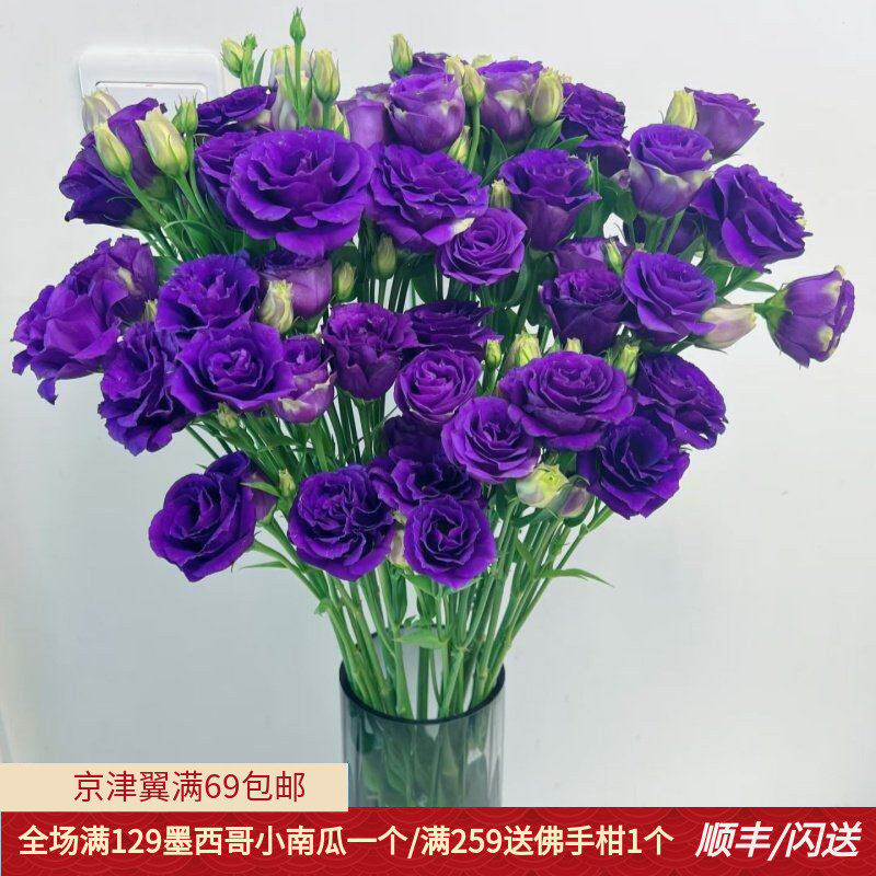 新鲜紫色洋桔梗 龙胆鲜切花 婚礼酒店插花 办公室日常瓶插 顺丰