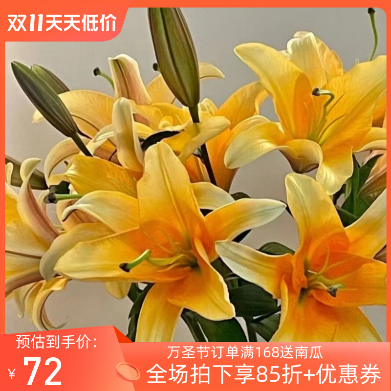 香水百合 晚霞大朵百合多头 香味明显 家庭水瓶插花 北京鲜花速递