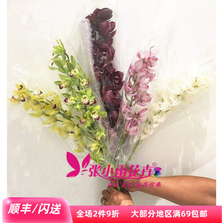 多颜色花蕙兰北京鲜花直送高1枝
