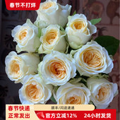 花束礼盒 新品 顺丰速运 日常瓶插 婚礼鲜花 蝶舞玫瑰 奥斯汀花型