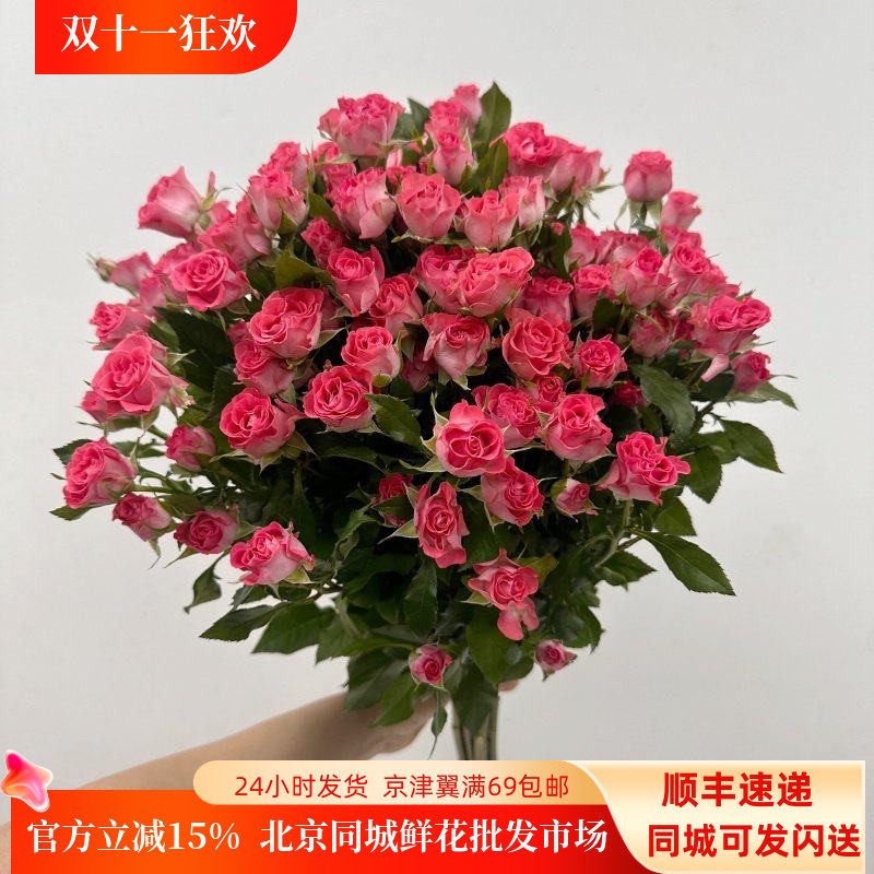 星河湾多头玫瑰花居家水瓶插花