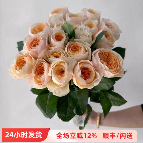 奥斯汀朱丽叶玫瑰鲜切花同城速递
