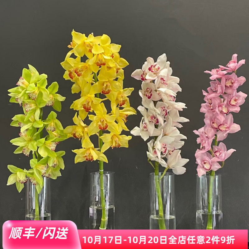 荷兰进口大花蕙兰鲜切花婚礼用