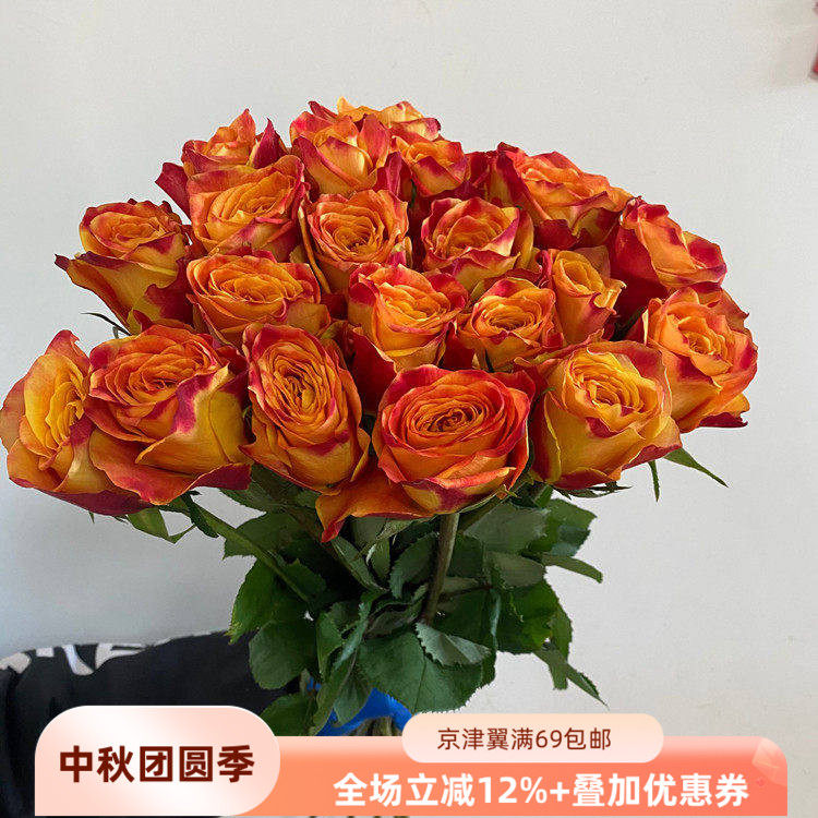 a级欢乐颂玫瑰玫瑰水养鲜切花